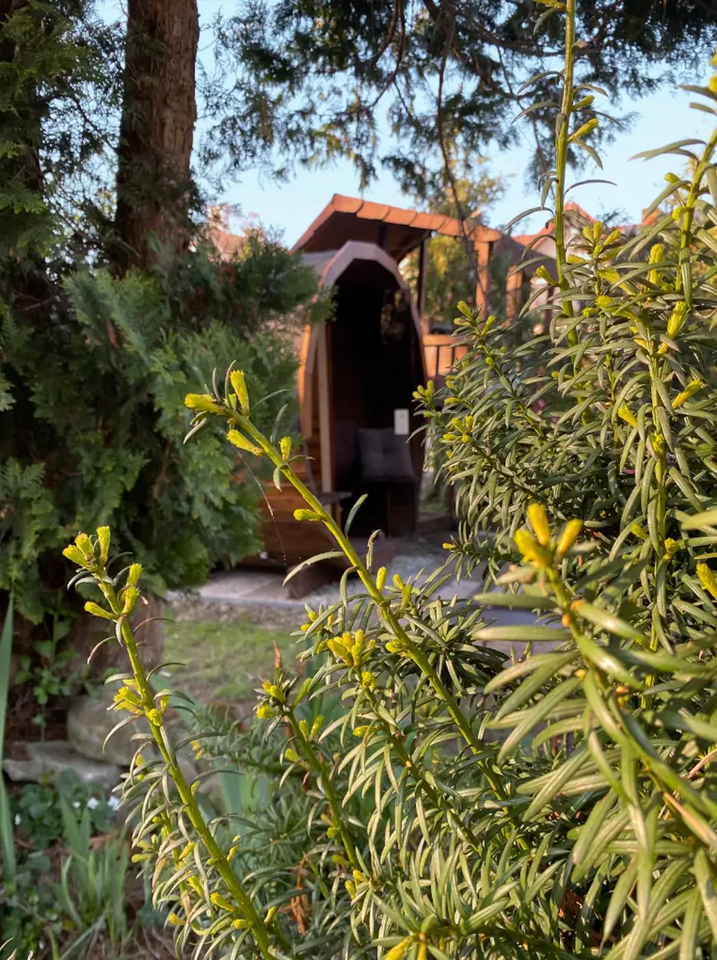 Sauna ogrodowa (beczka) w ogrodzie Kordylówki — relaks po spływie, Ponidzie