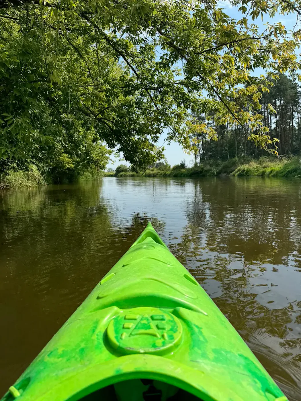 Kajaki nad brzegiem Nidy podczas spływu — Kordylówka, Ponidzie