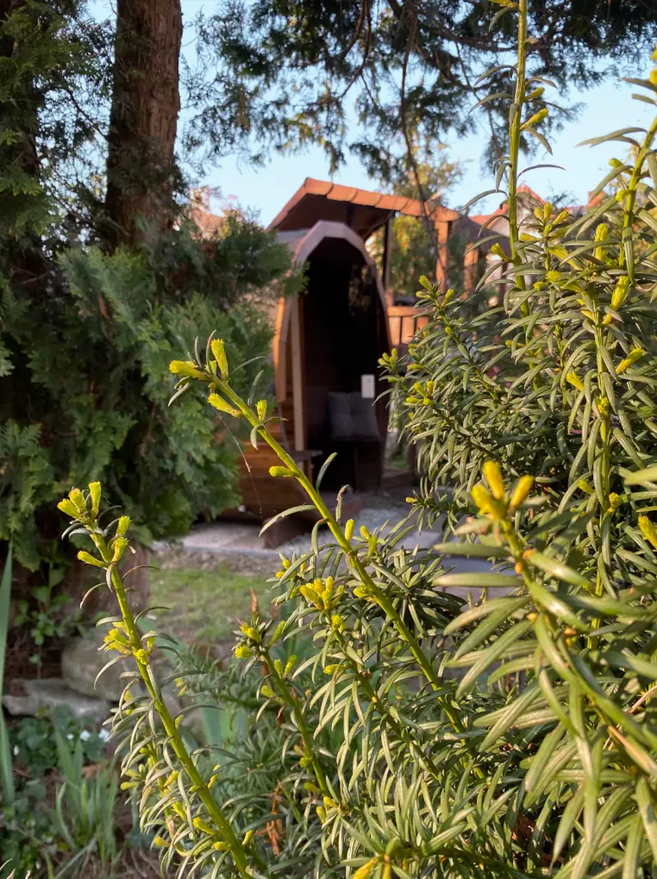 Sauna ogrodowa w Kordylówce — relaks po spływie kajakowym, Ponidzie
